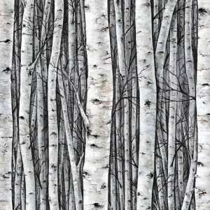Bildtapete, grau-blau, Bäume, Birkenhain, 35395, Timber, Marburg Neu Im Sortiment