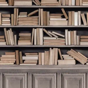 Fototapete Bibliothek A41601, 159 x 280 cm, Historian, Murals, Grandeco Versand Am Gleichen Tag