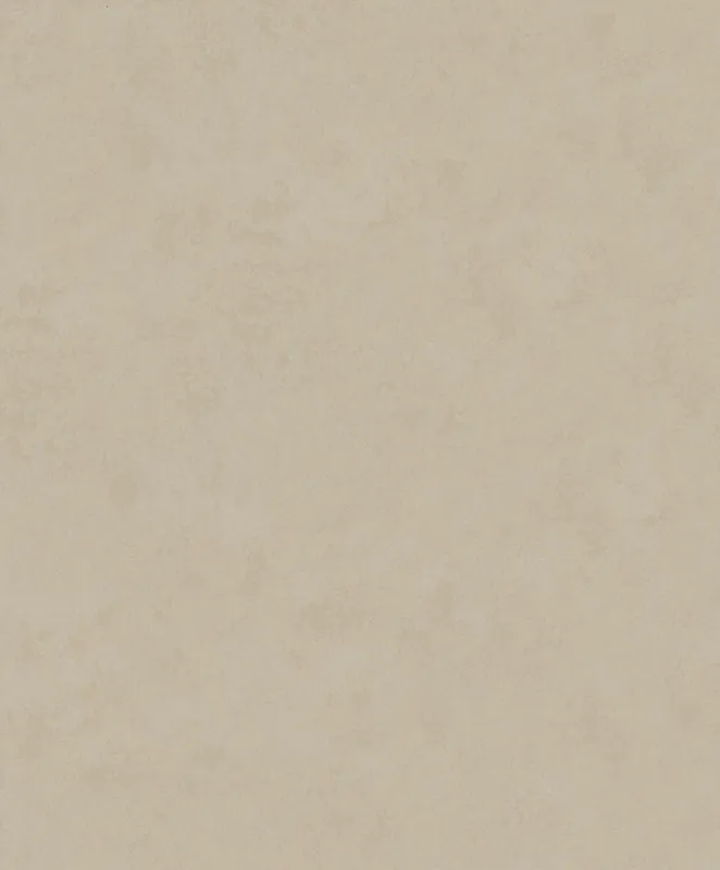 Tapete, Braun-Beige, Stuck, Beton, 34630, Terra, Marburg Heißes Angebot