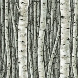 Tapete, grün, Bäume, Birkenhain, 35380, Timber, Marburg Preisreduziert