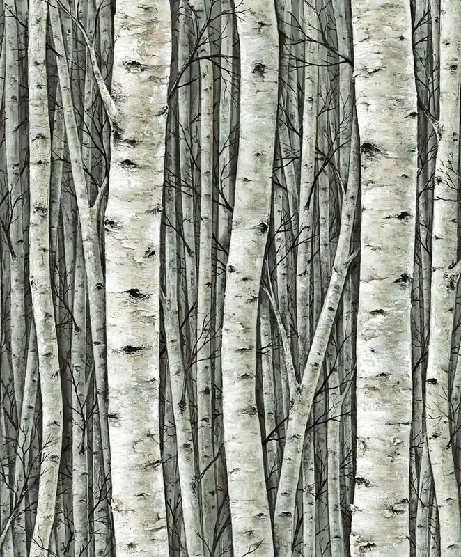 Tapete, grün, Bäume, Birkenhain, 35380, Timber, Marburg Preisreduziert